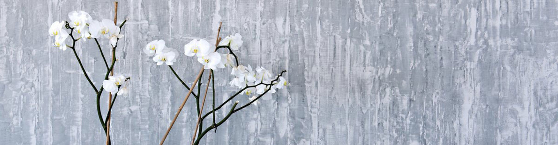 Concrete-wall-by-BETONADA-(B1)